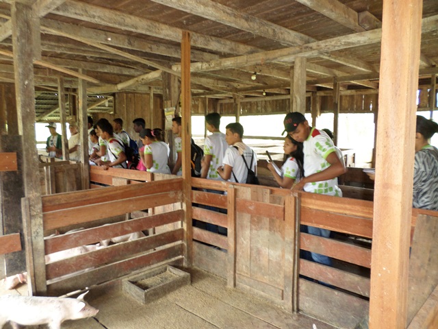Estudantes do IFRR/CAM realizam visita técnica em Fazenda de Alto Alegre