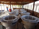 Estudantes do IFRR/Câmpus Amajari estruturam laboratório de pesca e aquicultura