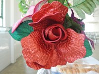 Mulheres do Campus Amajari têm programação especial 