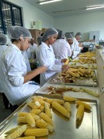 Alunos de Agroindústria participam de aula de processamento do milho verde 