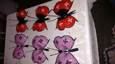 Reciclador - Boa Vista